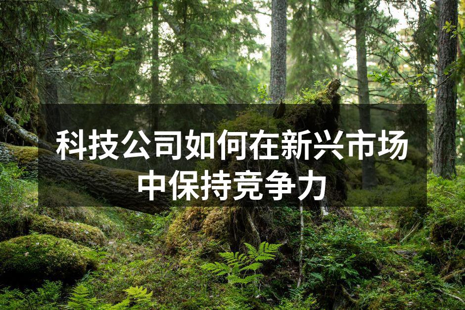 科技公司如何在新兴市场中保持竞争力