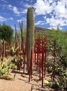 Desert Botanic Garden